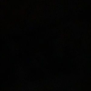 Meet your Posher, Jordin